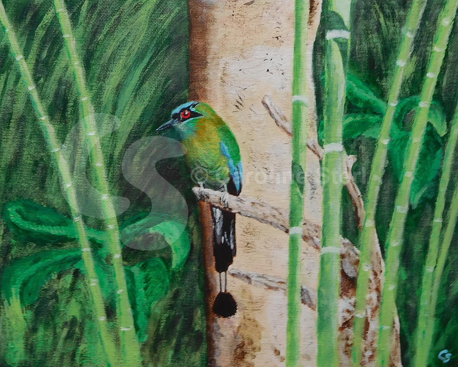 Painting: Lesson's Motmot